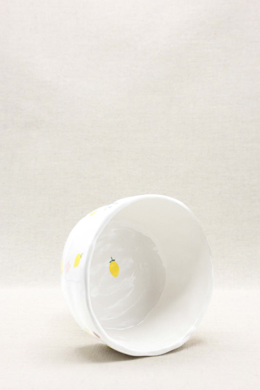 CIOTOLA RUSTICA DA YOGURT- limoni